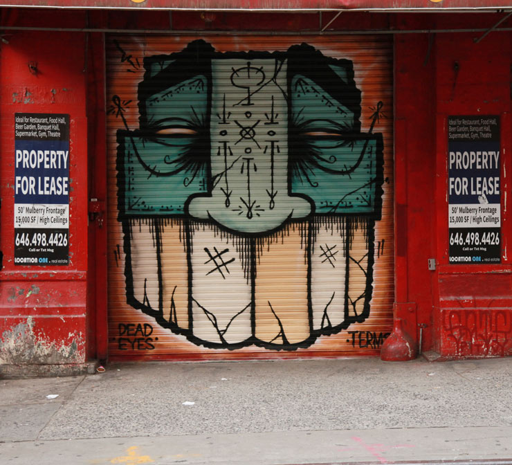 BSA Images Of The Week: 06.25.17 | Brooklyn Street Art