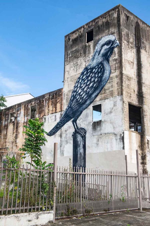 ROA and Martha Cooper in Puerto Rico: Dispatches from the Island ...