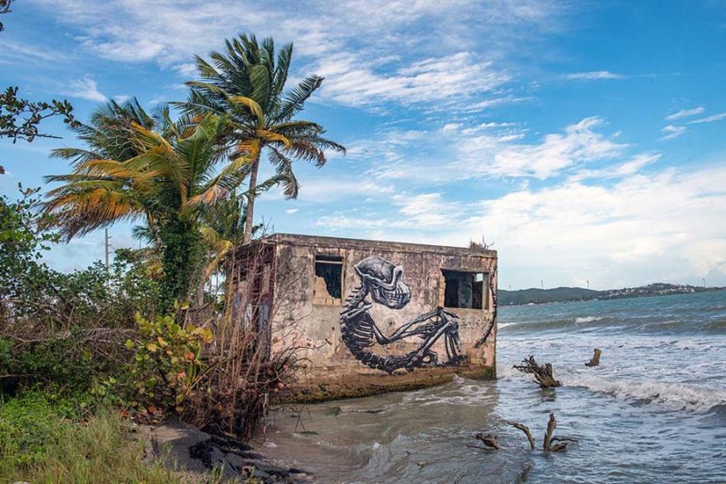 ROA and Martha Cooper in Puerto Rico: Dispatches from the Island ...