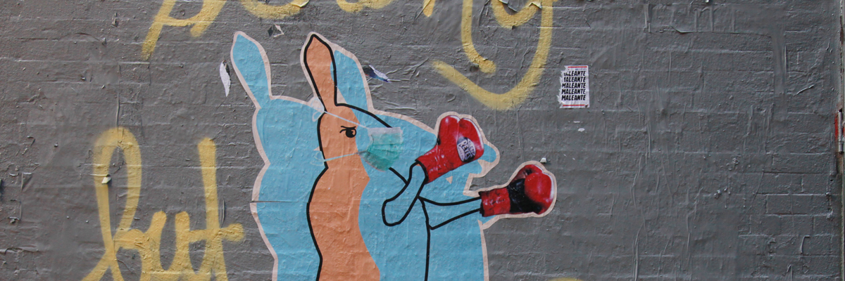 Dispatch From Isolation # 2 : Pugilistic Kangaroo With a Facemask