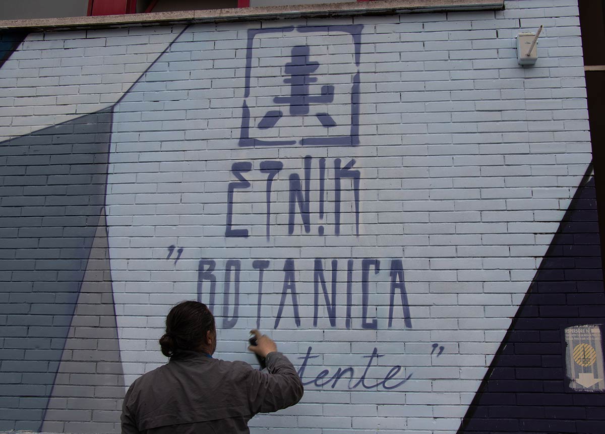 “Botanica Resistente” : Etnik and “a constant struggle for survival” in ...