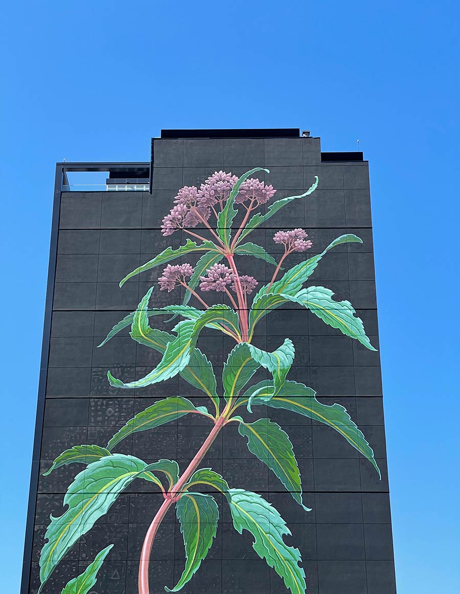 Mona Caron Makes a 20-Story Wildflower Bloom Above Jersey City