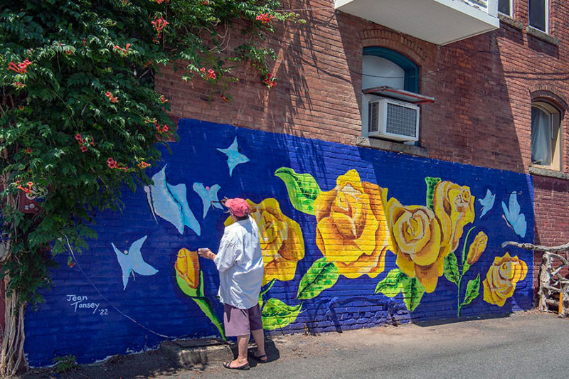 ‘Roses for Rosendale’ Brings Lady Pink and Many Blooms to Upstate New