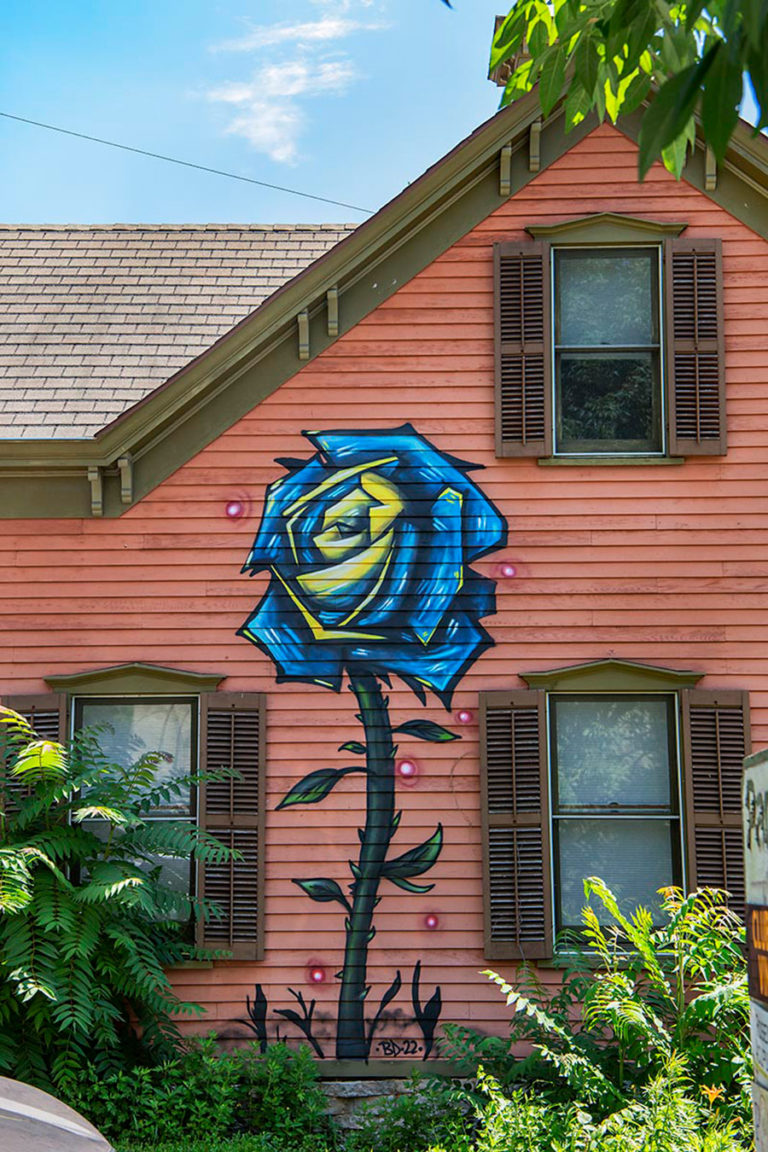 ‘Roses for Rosendale’ Brings Lady Pink and Many Blooms to Upstate New