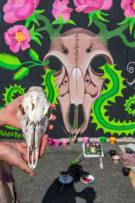 ‘Roses for Rosendale’ Brings Lady Pink and Many Blooms to Upstate New