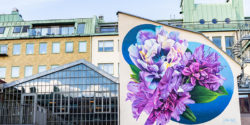 Sophie Mess Paints Duo of Sliced Botanicals for Shoppers in Gothenburg