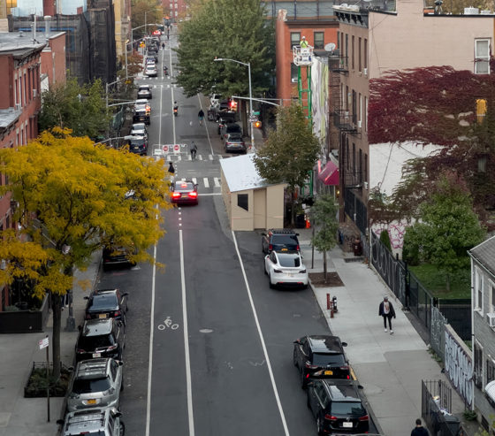 Mantra and the Big-Talking Ruby Crested Kinglet in Williamsburg ...