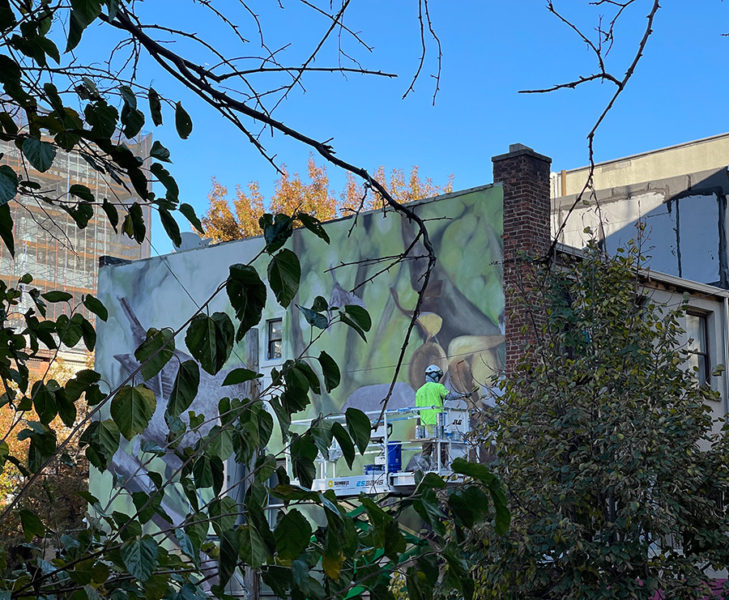 Mantra and the Big-Talking Ruby Crested Kinglet in Williamsburg ...
