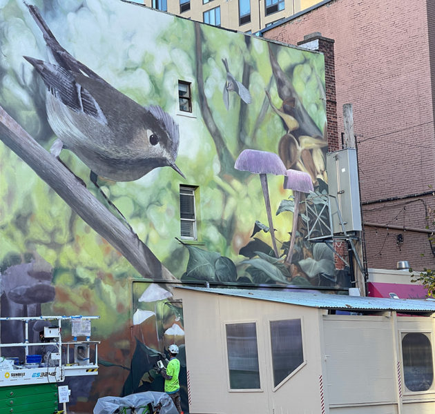 Mantra and the Big-Talking Ruby Crested Kinglet in Williamsburg ...
