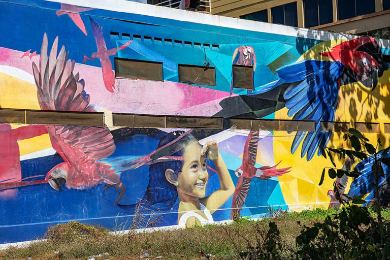 Artify Jacó Welcomes Marty and Nika | Brooklyn Street Art