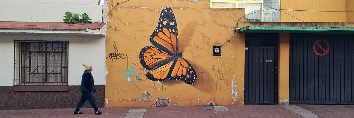 Mantra, Martha, Monarchs in Mexico: Part II