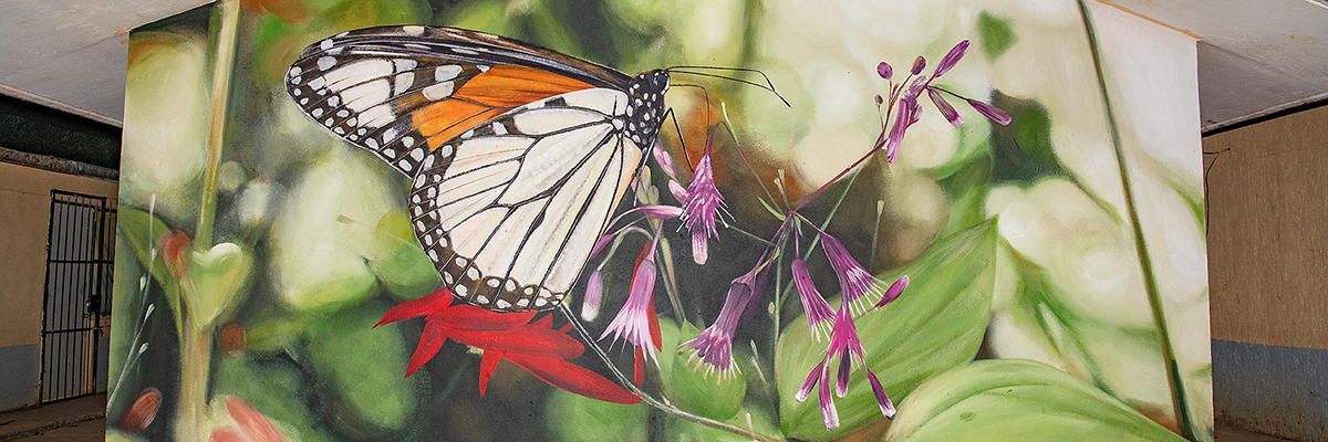 Catching Monarchs in Mexico with Mantra, Martha Cooper, and Cousin Sally