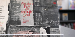 Books In The MCL: Golden Boy as Anthony Cool: by Herbert Kohl and James Hinton