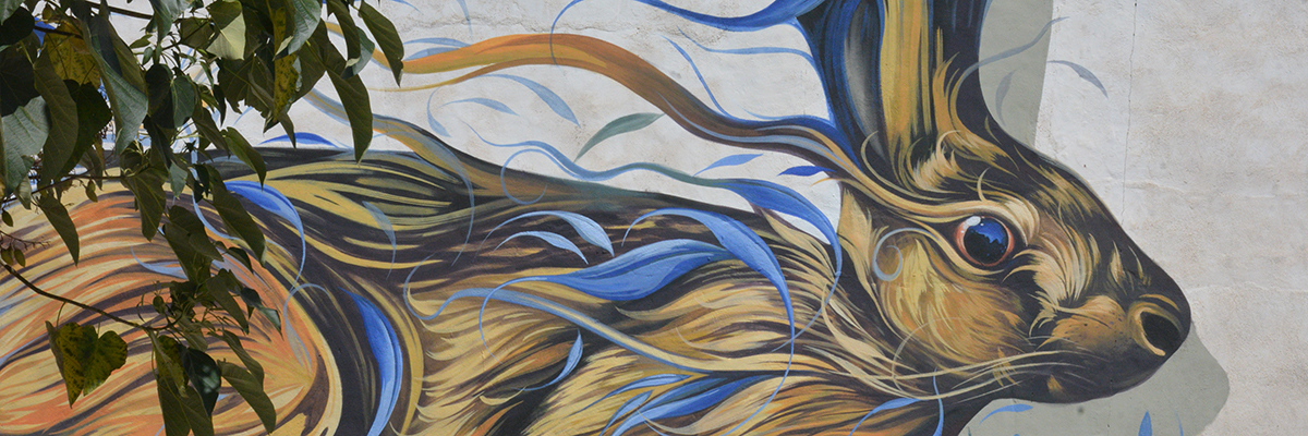 The Ecofeminist Voices of Graffitea 2025: Painting Care and Resistance