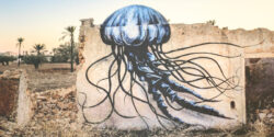 Books In The MCL: Mehdi Ben Cheikh. Djerbahood: Open Air Museum of Street Art