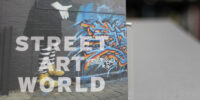 Books in The MCL: Alison Young. Street Art World