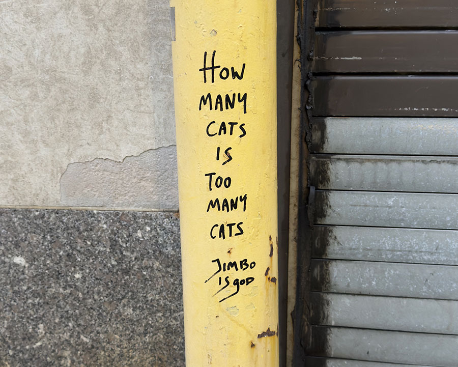 BSA Images Of The Week: 09.27.26