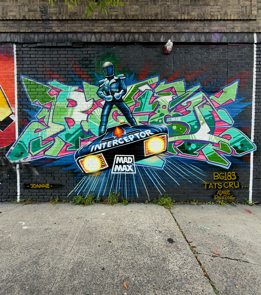 BSA Images Of The Week: 11.18.26
