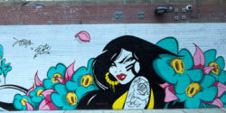 BSA Images Of The Week: 10.25.26